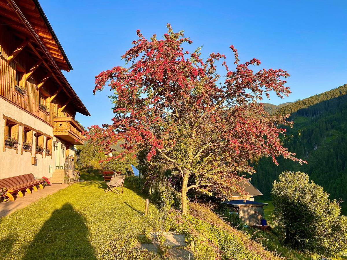 Alm Seasons Premium Chalet & Studios Зальбах-Хинтерглемм Экстерьер фото