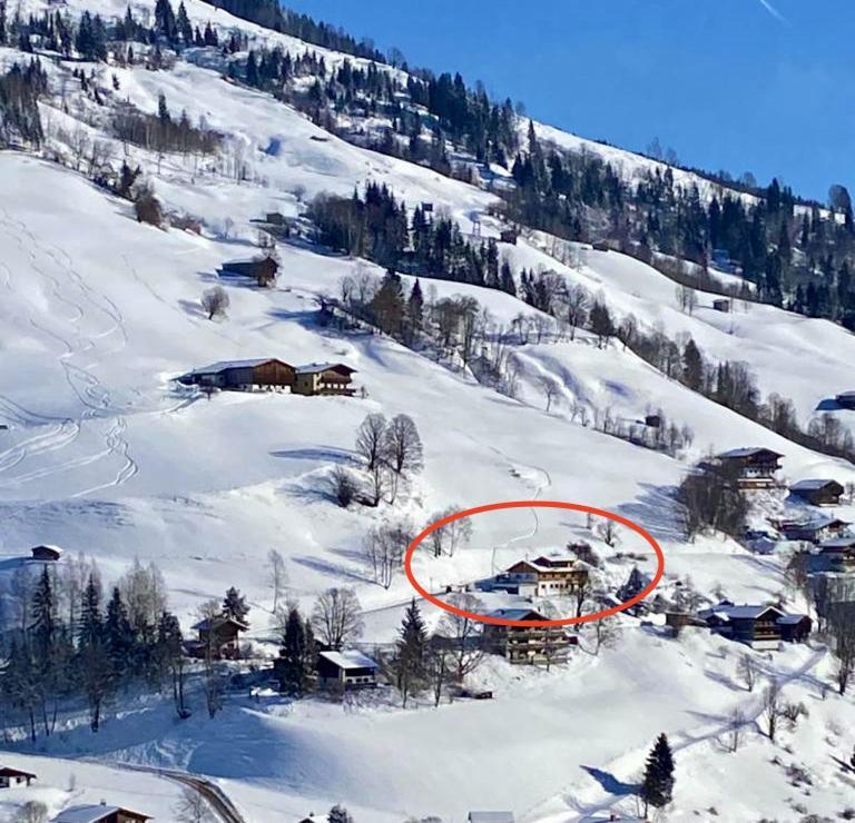 Alm Seasons Premium Chalet & Studios Зальбах-Хинтерглемм Экстерьер фото
