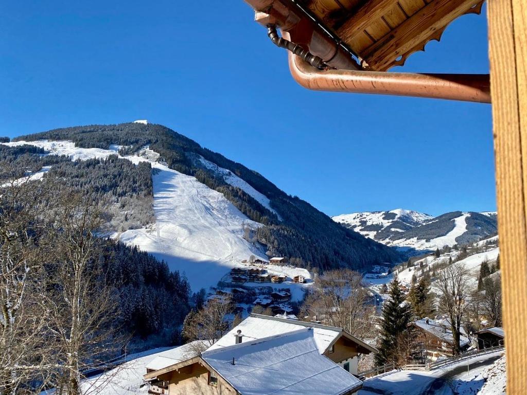 Alm Seasons Premium Chalet & Studios Зальбах-Хинтерглемм Экстерьер фото